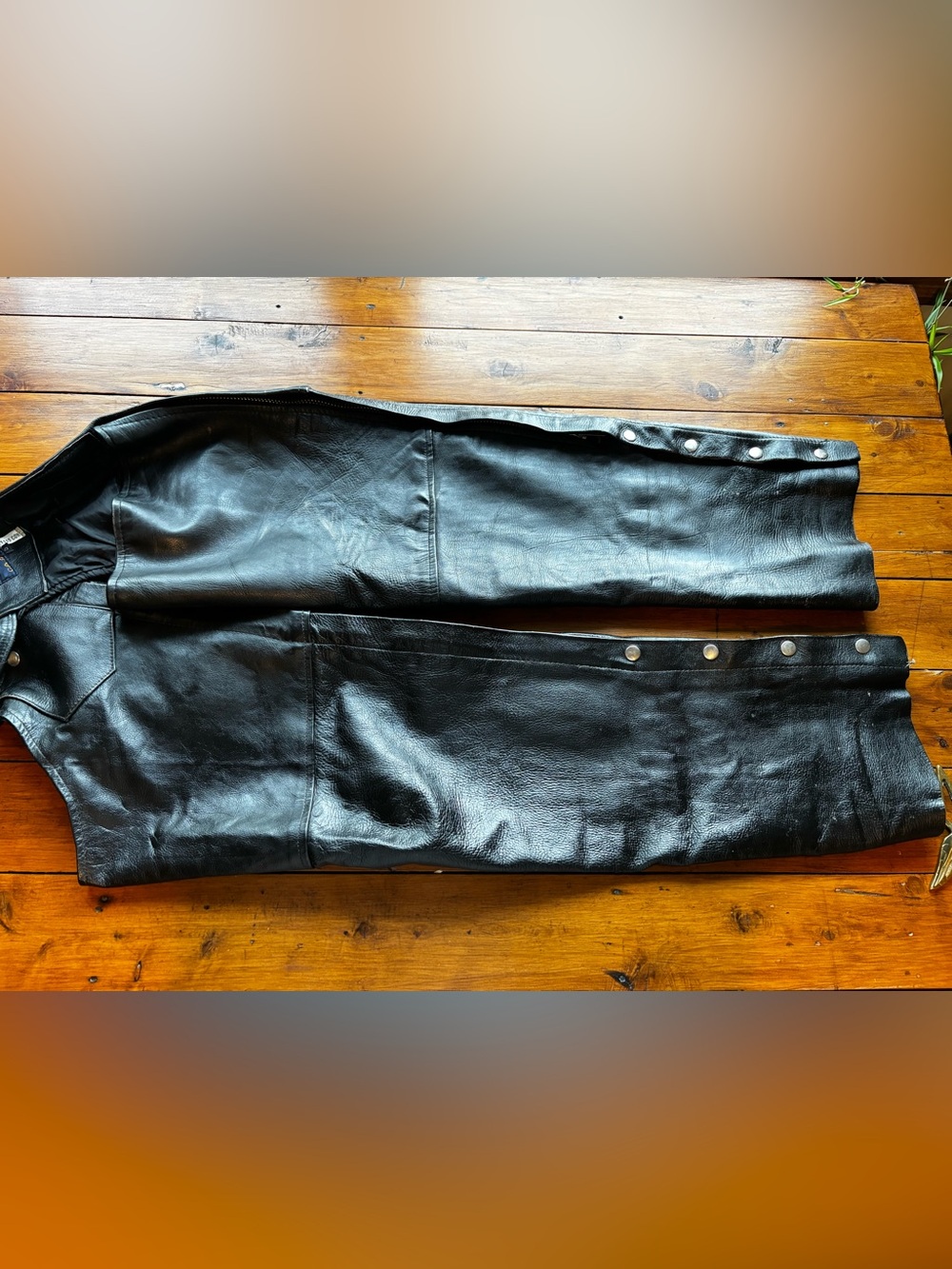 Leather Chaps - Picture 12 of 14